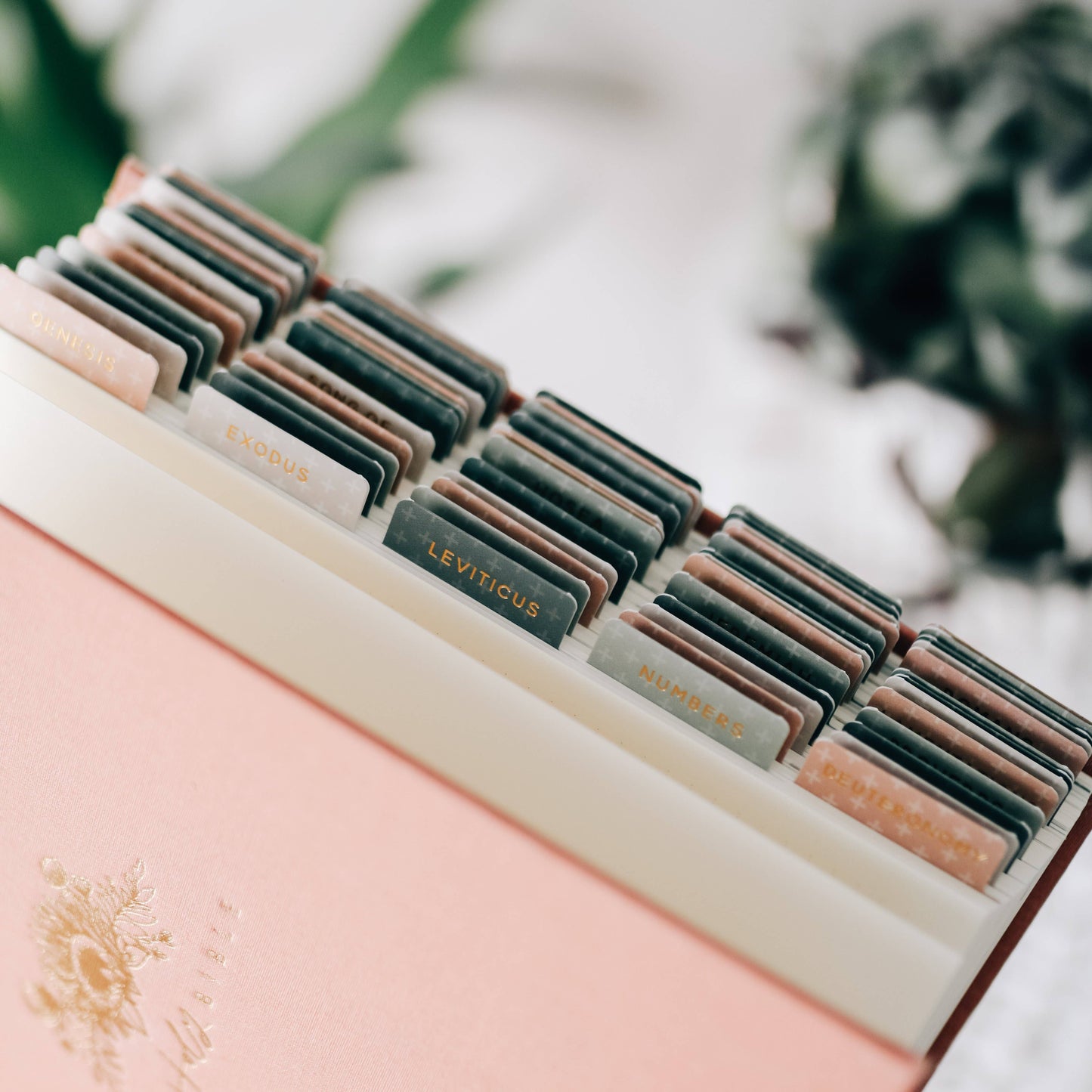 MODERN BIBLE TABS