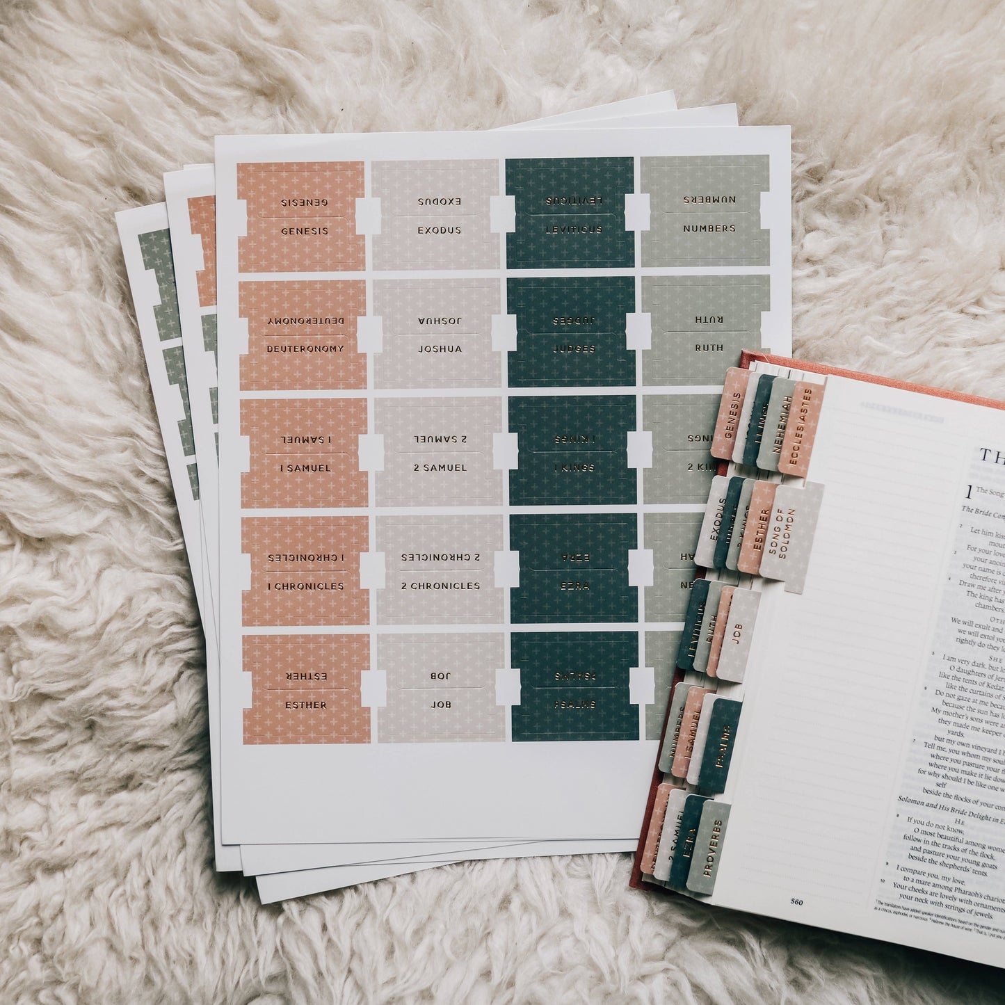 MODERN BIBLE TABS
