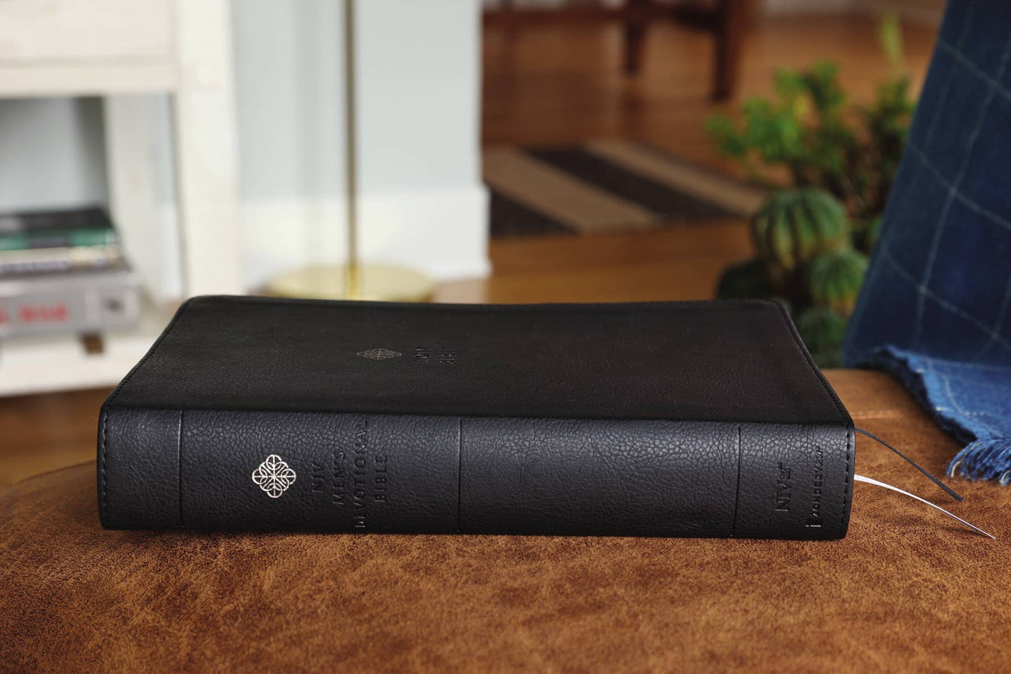 CEDAR + STONE MENS BIBLE