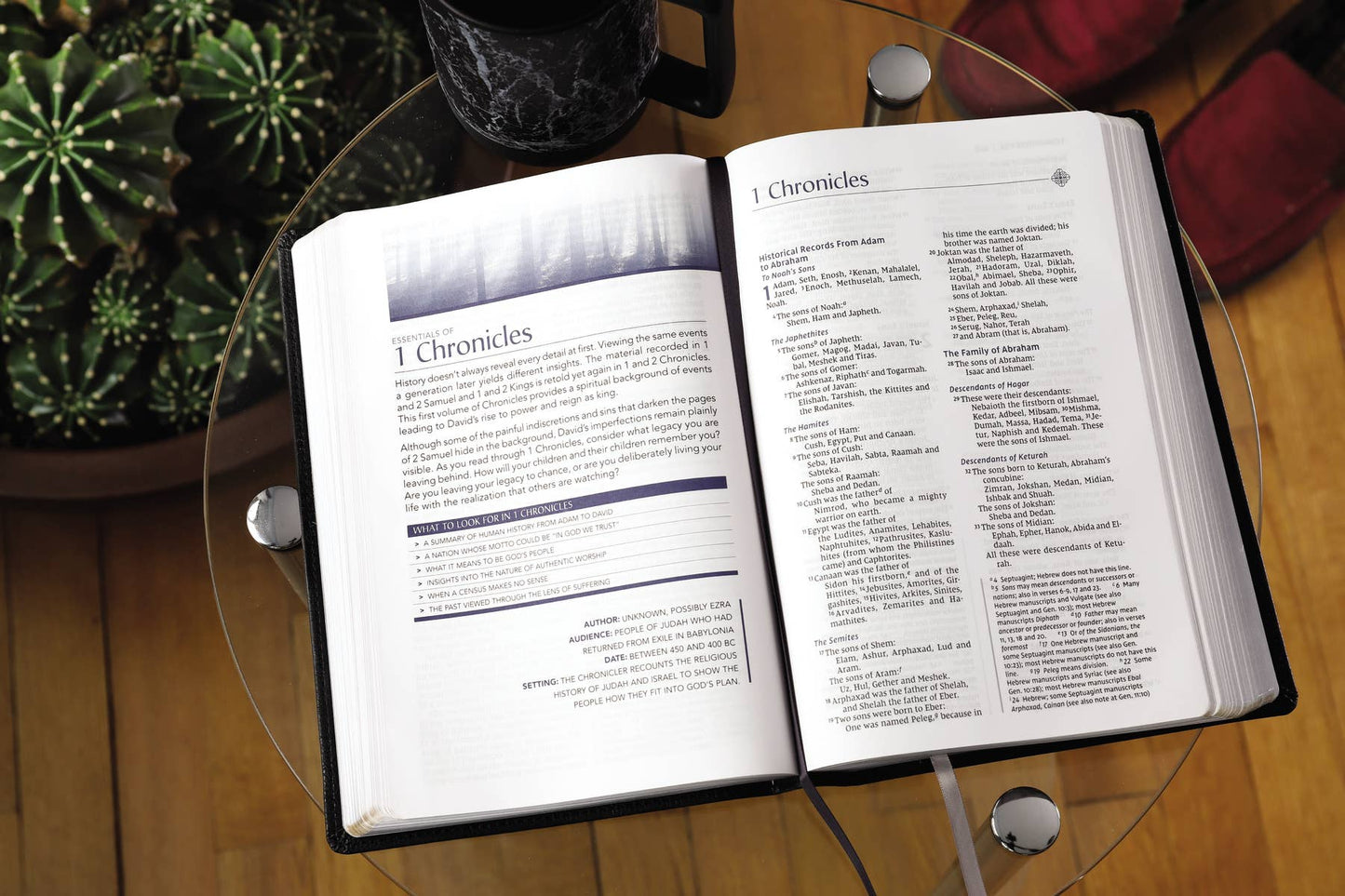 CEDAR + STONE MENS BIBLE