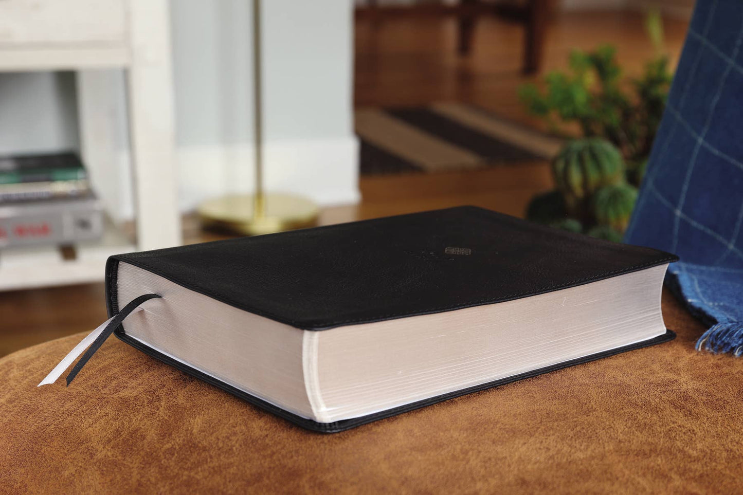 CEDAR + STONE MENS BIBLE